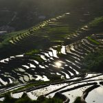 【最新】サパ現地ツアー徹底ガイド！秘境の棚田から絶景ハイキングまでおすすめ紹介