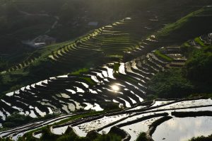 【最新】サパ現地ツアー徹底ガイド！秘境の棚田から絶景ハイキングまでおすすめ紹介