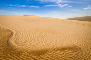 ホーチミンからムイネーへの行き方完全ガイド｜バス・列車・タクシー料金・時間比較